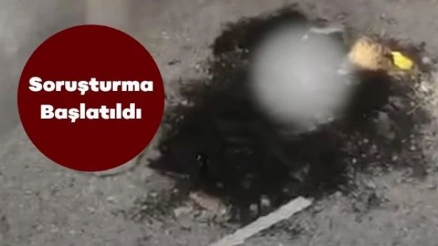 Hatay Büyükşehir Belediye Başkanı: "Bu vahşete sessiz kalmayacağız"