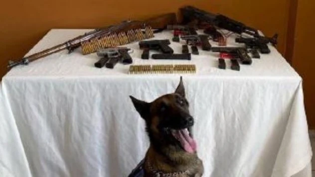 Kars'ta ruhsatsız silah operasyonu!