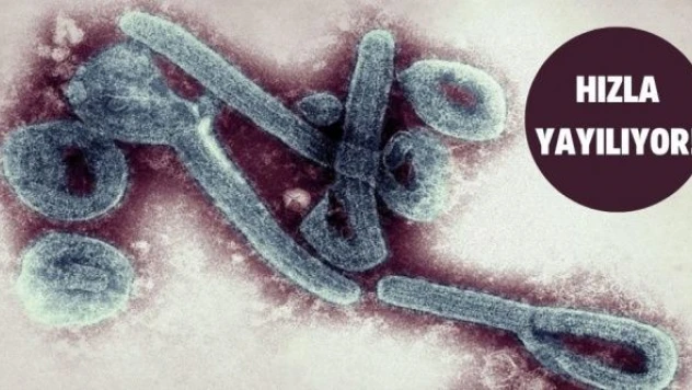 Marburg virüsü nedir, belirtileri nelerdir, nasıl bulaşır?