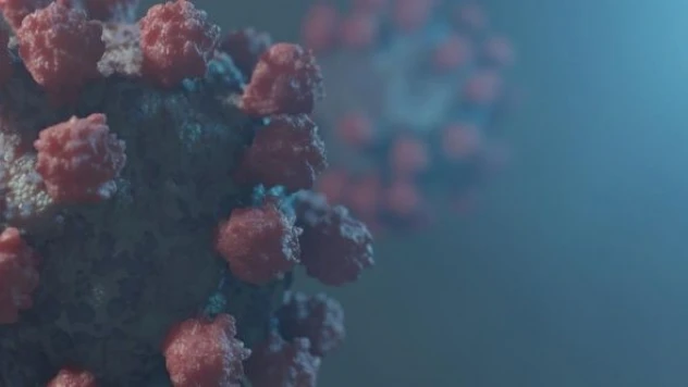 Marburg virüsü patladı: 2 kişi öldü!