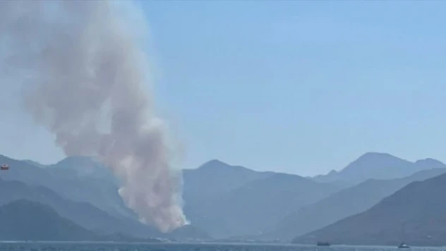 Marmaris'te orman yangını başladı!