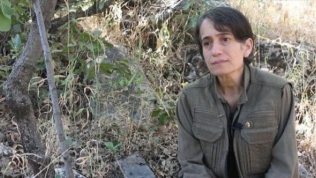 PKK'nın sözde üst düzey sorumlusu etkisiz hale getirildi