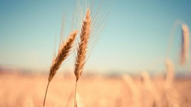 MSB'den tahıl koridoru açıklaması!