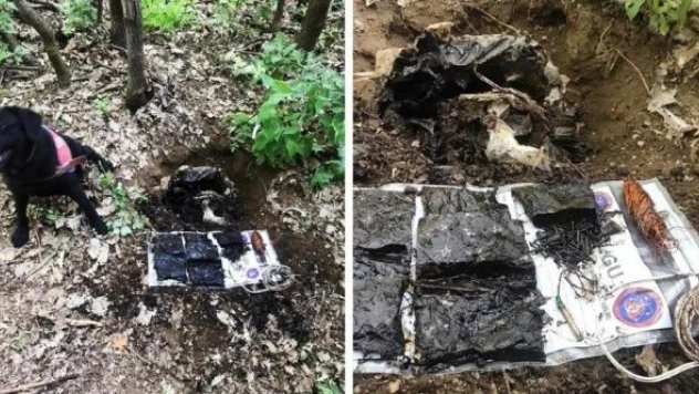 Muş'ta bayram öncesi terör operasyonu!