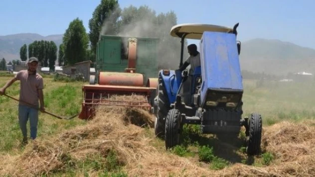 Muş'ta çiftçilerin  kışlık yem mesaisi başladı!