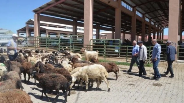 Muş'ta hayvan pazarında hareketlilik arttı