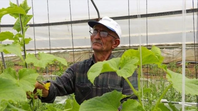 Bayburtlu çiftçinin ata tohumu mücadelesi takdir topluyor!