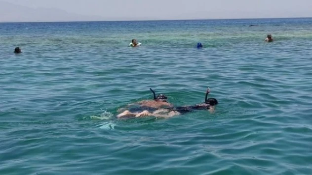 Van'da gönüllüler Çarpanak Adası'ndan yarımadaya kulaç attı!