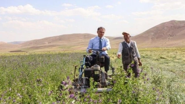 Van Valisi Ozan Balcı biçerle yonca hasadı yaptı