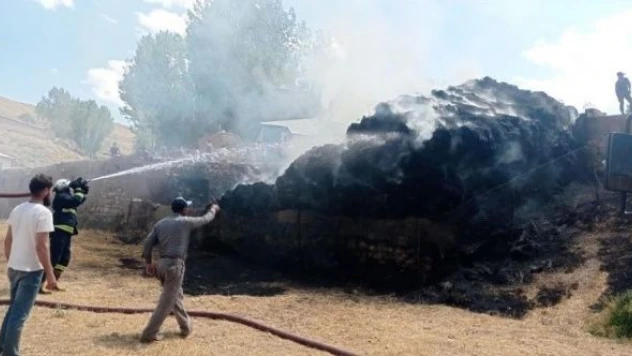 5 bin bağ ot cayır cayır yandı