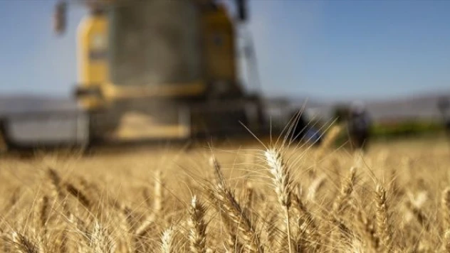 Tarımsal destek ödemeleri bugün yapılacak