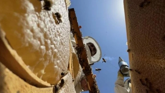 Aile mesleği arıcılığı özveriyle devam ettiriyorlar