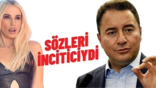 Ali Babacan'dan Gülşen yorumu