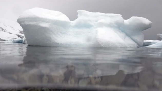 Antarktika'dan kötü haber