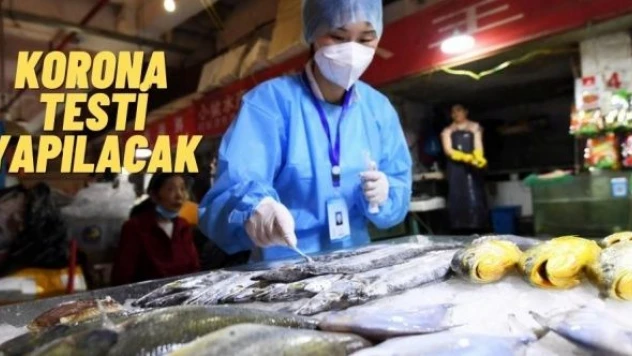 Balıklara korona testi yapılacak