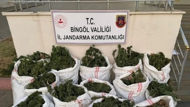 Bingöl'de esrar operasyonu
