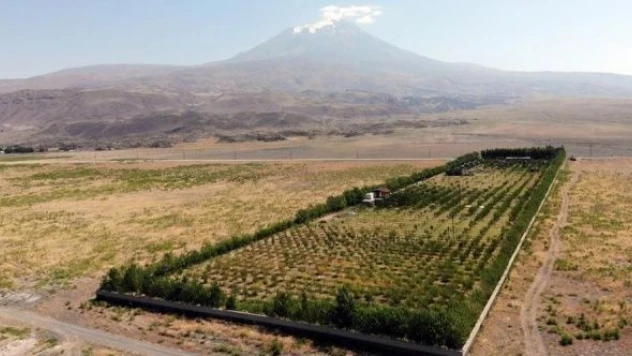 Çorak araziye  hayat verdi, ziyaretçilerini bekliyor