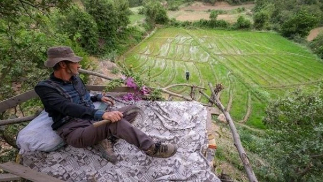 Çukurca'da çiftçilerin yaban domuzu nöbeti başladı