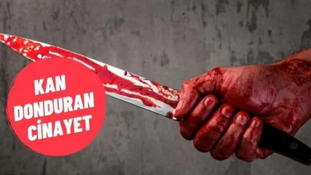 Elazığ'da kan donduran cinayet: oğlu babasını böyle öldürdü