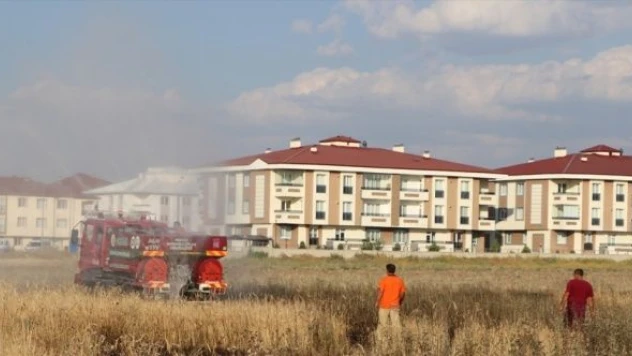 45 dönüm buğday küle döndü