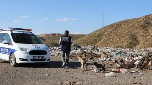 Karlıova'da yaralı köpek aranıyor!