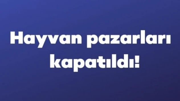 Kars'taki canlı hayvan pazarlarında şap paniği!