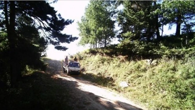 İzinsiz ağaç kesenler fotokapandan kaçamadı