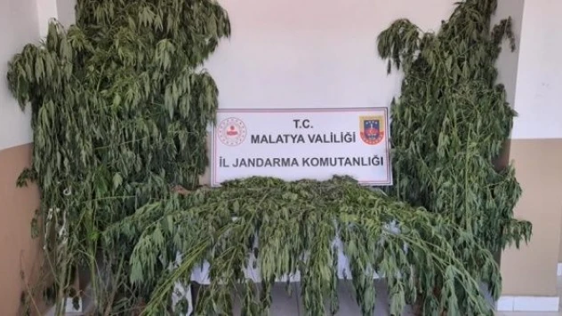 Malatya'da uyuşturucu operasyonu!