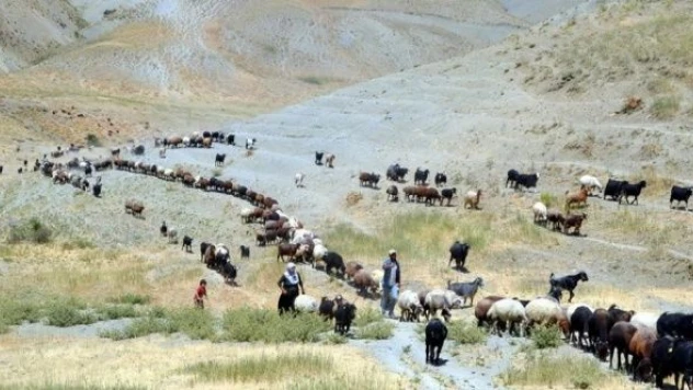 Muşlu kadınların zorlu yayla mesaisi sürüyor