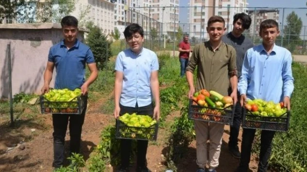 Muş'ta lise bostanının ürünleri ihtiyaç sahiplerine ulaşıyor