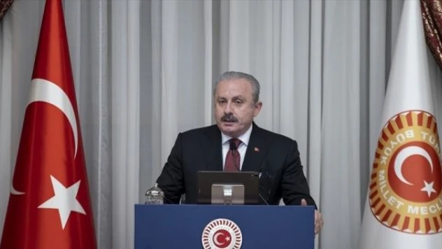 TBMM Başkanı Şentop'tan 30 Ağustos Zafer Bayramı mesajı