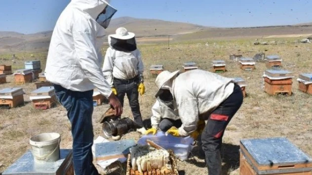 Tescilli Kars balının kalitesi daha da arttı