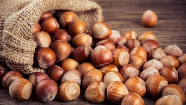 TMO fındık alım tarihini açıkladı!