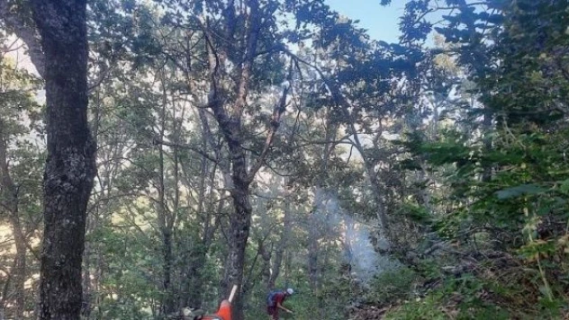 Tunceli'de örtü yangını!