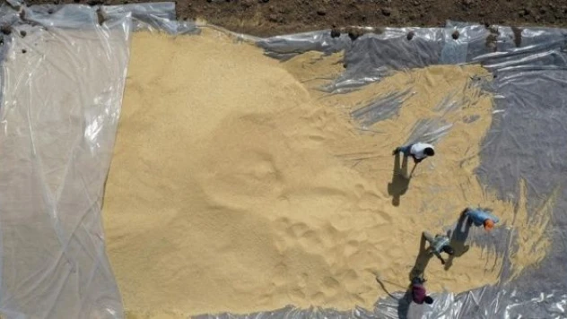 Ağrı'da 60 bin tonun üzerinde hububat rekoltesi bekleniyor