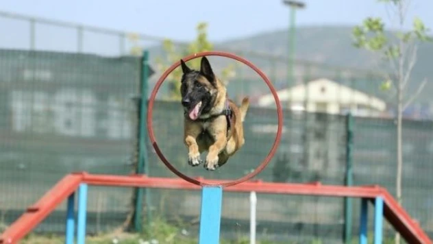 Bingöl'de  'Ezber' uyuşturucuya geçit vermiyor