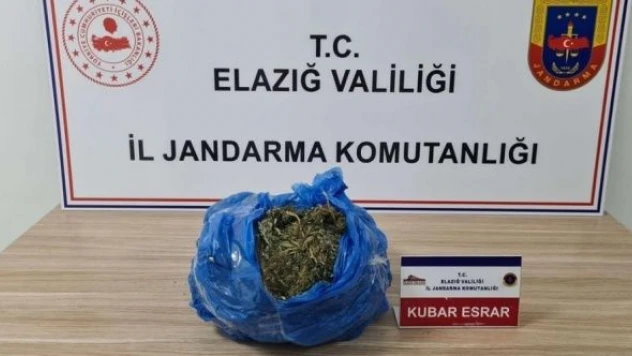 Elazığ'da esrar operasyonu!
