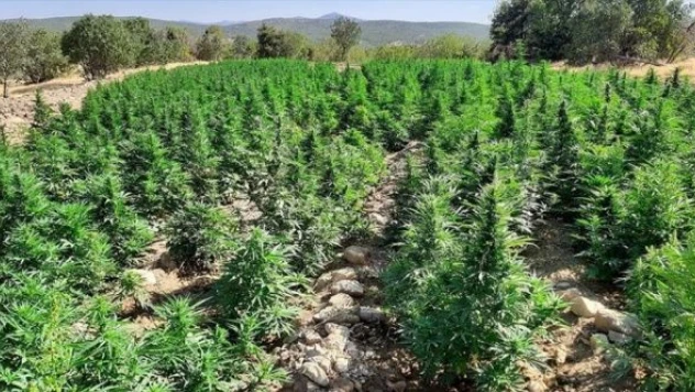 Eren Abluka-34'de büyük vurgun