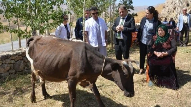 Hakkarili Nafiye Teyze'nin yüzü güldü