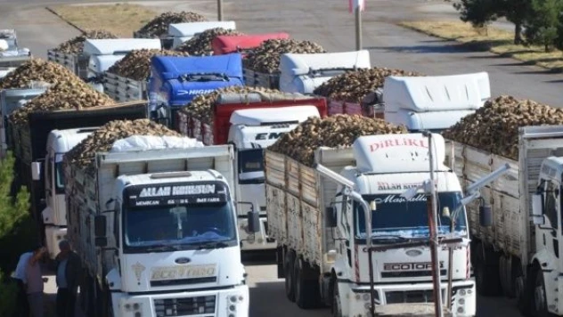 Muş Şeker Fabrikası'nda 41'inci pancar alım kampanyası başladı