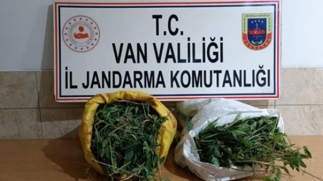 Van'da kubar esrar operasyonu!