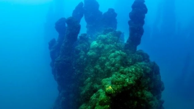 Van Gölü'nde 32,2 metre mikrobiyalit görüntülendi