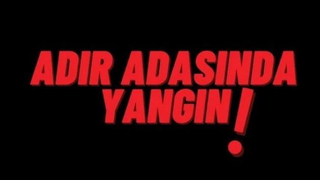 Van Gölü'ndeki Adır Adası'nda yangın çıktı