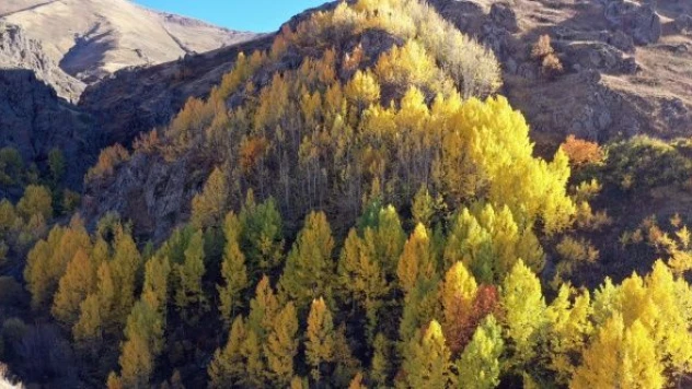 Ağrı dağları  sonbahar renklerine büründü