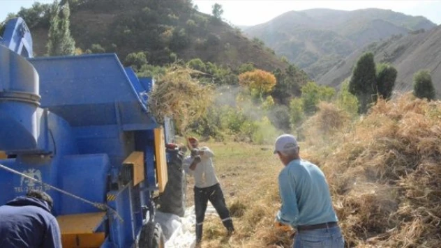 Bingöl'de 'Yedisu horoz kuru fasulyesi hasat şenliği' başladı