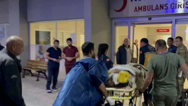 Erzincan'da ayı, kadına saldırdı!