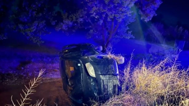 Yaban domuzuna çarpan araç şarampole uçtu!