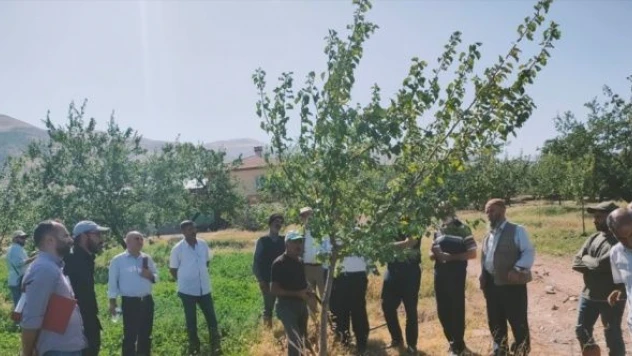 Kale'de çiftçilere tarla okulu eğitimi verildi
