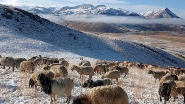 Şırnak'a yılın ilk karı düştü