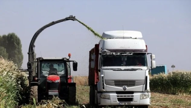 Soğuk iklime sahip Erzurum'da tarımsal üretim destek ve teşviklerle artıyor